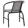 Chaises de jardin lot de 2 Plastique Rotin et acier 110 kg 558697558697