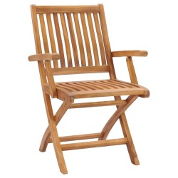 Chaises de jardin pliables lot de 2 Bois de teck massif 559097559097