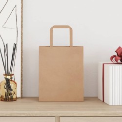 Sacs en papier 50 pcs avec poignées marron 18x8x22 cm 559113559113