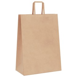Sacs en papier 250 pcs avec poignées marron 32x17x44 cm 559137559137
