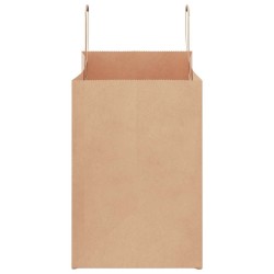Sacs en papier 250 pcs avec poignées marron 32x17x25 cm 559138559138