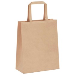 Sacs en papier 250 pcs avec poignées marron 18x8x22 cm 559139559139