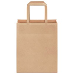 Sacs en papier 250 pcs avec poignées marron 18x8x22 cm 559139559139