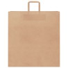 Sacs en papier 250 pcs avec poignées marron 45x17x48 cm 559159559159