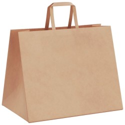 Sacs en papier 250 pcs avec poignées marron 32x22x24 cm 559161559161