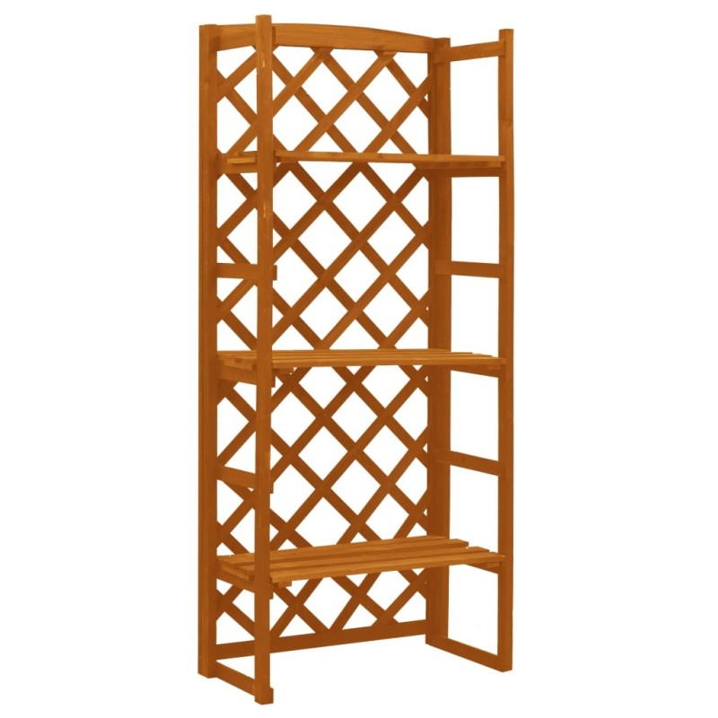 Support de plantes et treillis Orange 60x30x140cm Bois de sapin 559258559258