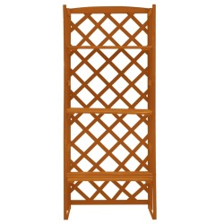 Support de plantes et treillis Orange 60x30x140cm Bois de sapin 559258559258