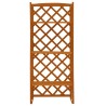 Support de plantes et treillis Orange 60x30x140cm Bois de sapin 559258559258