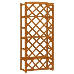Support de plantes et treillis Orange 60x30x140cm Bois de sapin 559258559258