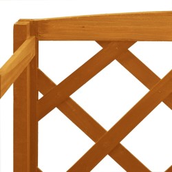 Support de plantes et treillis Orange 60x30x140cm Bois de sapin 559258559258