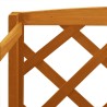 Support de plantes et treillis Orange 60x30x140cm Bois de sapin 559258559258