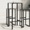 Table de bar noir 50x50x110 cm acier enduit de poudre 559977559977