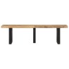 Banc 160 cm bois de manguier brut massif et acier 560152560152