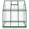 Serre avec cadre de base vert 169x169x202 cm aluminium 560217560217