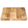 Dessus de table bord vivant 50x40x3,8 cm bois de manguier brut 560643560643