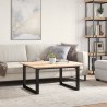 Pieds de table basse cadre en O 80x70x43 cm acier 561360561360
