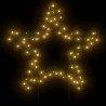 Décoration lumineuse étoile de Noël avec piquets 80 LED 60 cm 561365561365