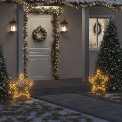 Décoration lumineuse étoile de Noël avec piquets 80 LED 60 cm 561402561402