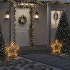 Décoration lumineuse étoile de Noël avec piquets 80 LED 60 cm 561402561402