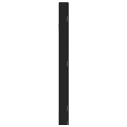 Armoire à bijoux avec miroir murale noir 30x8,5x106 cm 561603561603