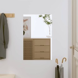 Miroir mural 40x60 cm Verre Rectangulaire 561777561777