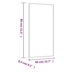 Miroir mural 40x80 cm Verre Rectangulaire 561784561784