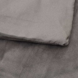 Couverture lestée avec housse Gris 120x180 cm 5 kg Tissu 561818561818