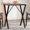 Pieds de table à manger cadre en X 60x40x73 cm acier 561953561953