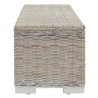 Boîte de rangement Blanc 110 cm Rotin kubu naturel et acajou 561979561979