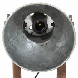 Lampe de bureau 25 W argent vintage 30x17x40 cm E27 562129562129