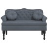 Banc avec coussins Gris foncé 120,5x65x75 cm Velours 562305562305