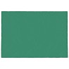 Filet pour remorque vert 3,5x5 m PEHD 562589562589