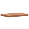 Comptoir de salle de bain 60x40x4 cm bois massif de hêtre 562731562731