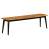 Banc 160x40x45 cm bois massif de manguier et fer 562779562779