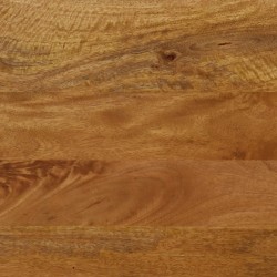 Banc 160x40x45 cm bois massif de manguier et fer 562779562779