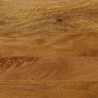 Banc 160x40x45 cm bois massif de manguier et fer 562779562779