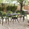 Table de jardin noir 80x80x75 cm aluminium coulé 562863562863