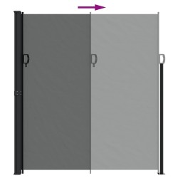 Store latéral rétractable Anthracite 220 x 300 cm 562871562871