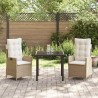 Ensemble de salle à manger pour jardin 3 pcs Beige polyrotin 563049563049