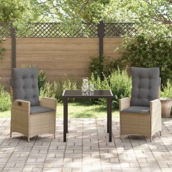 Ensemble de salle à manger pour jardin 3 pcs Beige polyrotin 563051563051