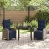 Ensemble de salle à manger pour jardin 3 pcs Gris polyrotin 563121563121