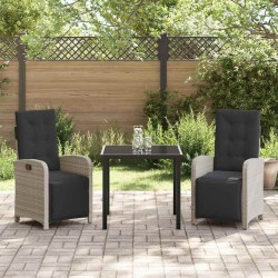 Ensemble de salle à manger pour jardin 3 pcs Gris clair 563129563129