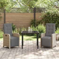Ensemble de salle à manger pour jardin 3 pcs Beige polyrotin 563130563130