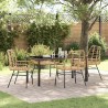 Ensemble de salle à manger pour jardin 5 pcs Marron polyrotin 563274563274