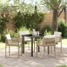 Ensemble de salle à manger pour jardin 5 pcs Beige polyrotin 563299563299