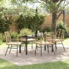 Ensemble de salle à manger pour jardin 5 pcs Marron polyrotin 563310563310