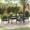 Ensemble de salle à manger pour jardin 5 pcs Noir polyrotin 563371563371