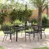Ensemble de salle à manger pour jardin 5 pcs Noir polyrotin 563376563376