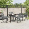 Ensemble de salle à manger pour jardin 5 pcs Gris polyrotin 563378563378