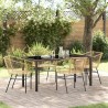 Ensemble de salle à manger pour jardin 5 pcs Marron polyrotin 563397563397